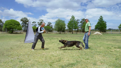 Trainer-Trainiert-Einen-Schäferhund-Auf-Dem-Feld-4k