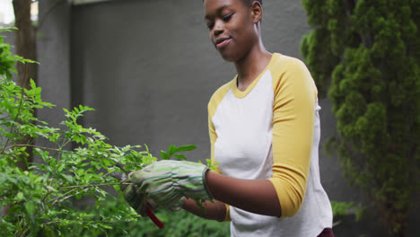 Afroamerikanische-Frau-Trägt-Gartenhandschuhe-Und-Schneidet-Blätter-Von-Pflanzen-Im-Garten