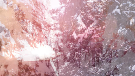 Digitale-Komposition-Aus-Leuchtenden-Lichtpunkten-Vor-Einer-Schneelandschaft-Mit-Haus-Und-Bäumen