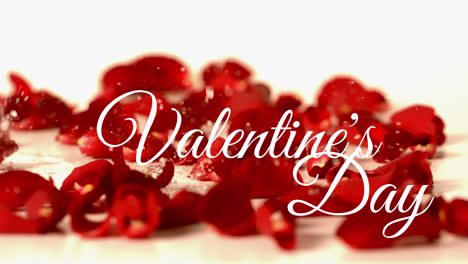 Valentines-day-text-with-red-flower-background-and-water-drop