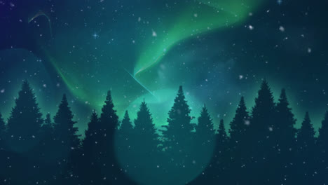 Digitale-Komposition-Aus-Schneeflocken-Und-Lichtpunkten-Vor-Mehreren-Bäumen-Und-Dem-Nachthimmel