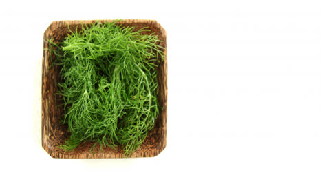 Dill-herb-in-wooden-tray-4k