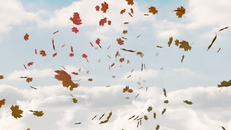 Falling-autumn-leaf-against-sky-background-4k