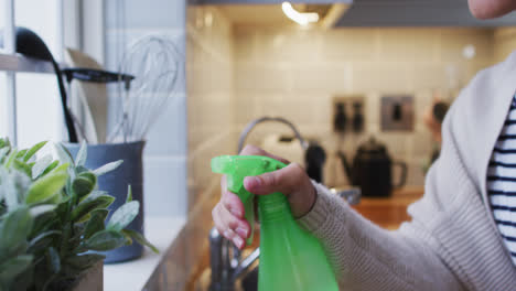 Mixed-race-woman-watering-plants-in-kitchen