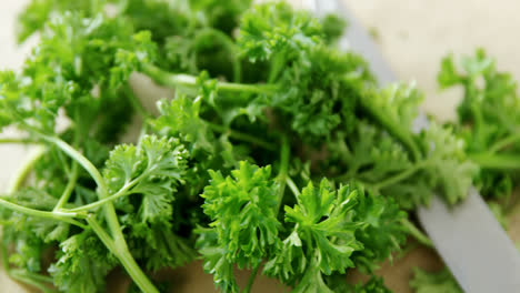 Fresh-coriander-leaves-with-knife-4k