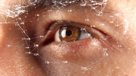 Animation-of-Caucasian-brown-eye-over-network-of-connections-with-white-numbers