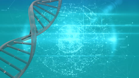 DNA-Helix-Mit-Einem-Globus