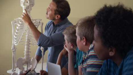 Male-teacher-with-human-skeleton-model-teaching-in-the-class