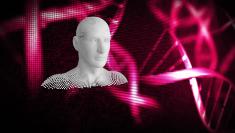 Busto-Humano-En-Movimiento-Y-Hebras-De-ADN-3D-Giratorias