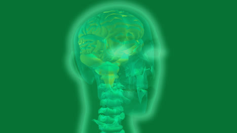 Leuchtend-Grüne-Röntgenaufnahme-Des-Menschlichen-Kopfes-Mit-Molekularen-Strukturen-Auf-Grün