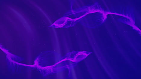 Purple-trails-on-blue-background-and-rollback