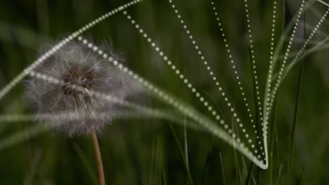 Digital-composition-of-dna-structure-spinning-against-dandelion-flower-on-grass-field