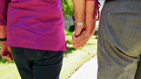 Mid-section-of-active-senior-couple-walking-hand-in-hand-in-the-garden-of-nursing-home-4k