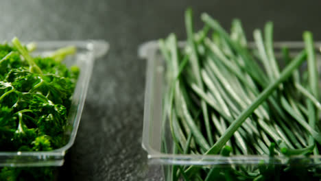 Various-type-of-herbs-in-plastic-tray-4k