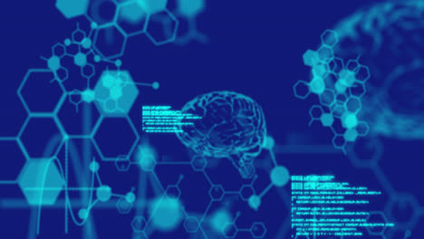 Animation-of-digital-brains-medical-data-processing-and-information-flowing-on-blue-background