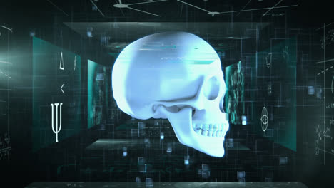 Animation-of-human-skull-with-math-formulae-on-screens