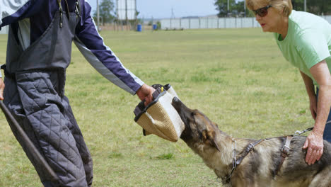 Trainer-training-a-shepherd-dog-in-the-farm-4k