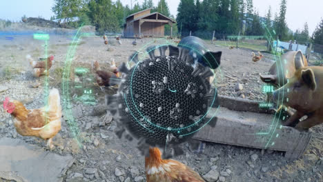 Scope-scanning-Covid-19-cell-against-hens-and-pigs-eating-in-farm