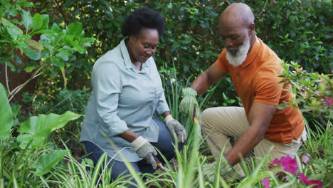 Pareja-De-Ancianos-Afroamericanos-Usando-Guantes-De-Mano-Haciendo-Jardinería-Juntos-En-El-Jardín