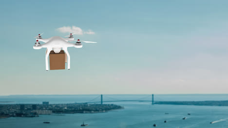 Drone-carrying-a-box