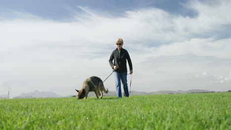 Shepherd-dog-walking-with-his-owner-in-the-farm-4k