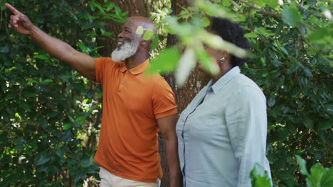 Afroamerikanisches-Seniorenpaar-Hält-Händchen-Und-Geht-Gemeinsam-Im-Garten-Spazieren