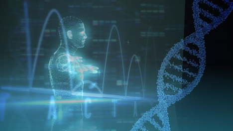 Holographic-man-animation-with-DNA-and-heart-beats