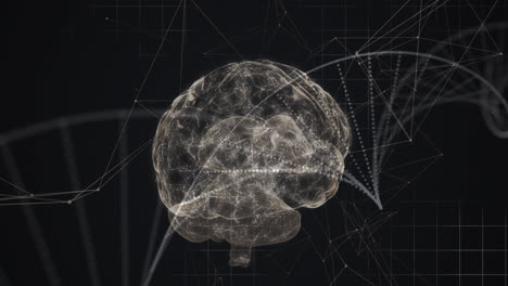 Digitale-Animation-Des-Menschlichen-Gehirns-Und-Der-DNA-Struktur,-Die-Sich-Vor-Einem-Netzwerk-Von-Verbindungen-Dreht