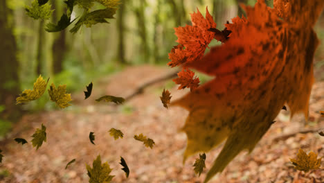 Leaves-falling