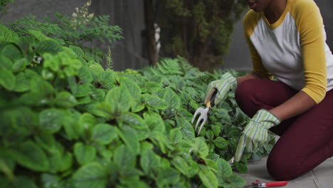 African-american-woman-wearing-gardening-gloves-gardening-in-the-garden
