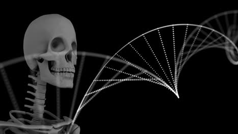 Digitale-Animation-Einer-DNA-Struktur,-Die-Sich-Vor-Einem-Menschlichen-Skelettmodell-Auf-Schwarzem-Hintergrund-Dreht