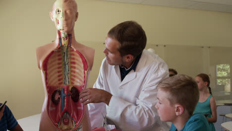 Männlicher-Lehrer-Unterrichtet-Menschliche-Anatomie-Im-Unterricht
