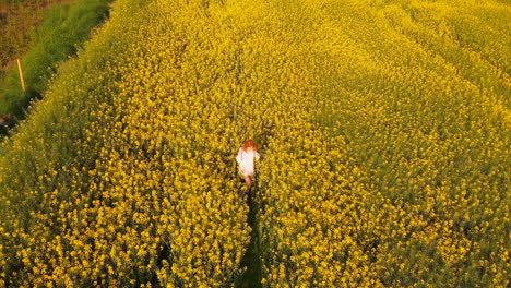 Redhead-woman-standing-in-mustard-field-4k