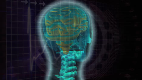 Digitaler-Verbund-Eines-Menschlichen-Gehirns