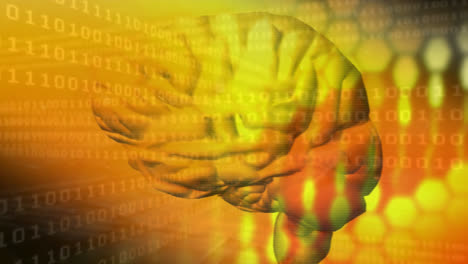 Compuesto-Digital-De-Un-Cerebro-Humano-Y-El-Sistema-Binario