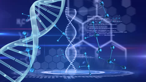 Animation-of-dna-strand,-medical-data-processing-and-chemical-molecules-on-blue-background