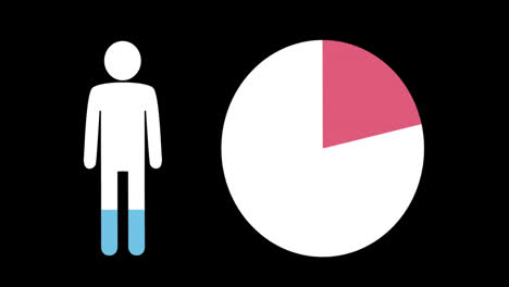 Male-shape-and-pie-chart-filling-up-with-colours-4k