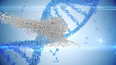 Moving-3d-DNA-strand-and-human-head