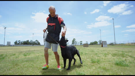 Trainer-feeding-food-to-his-dog-4k