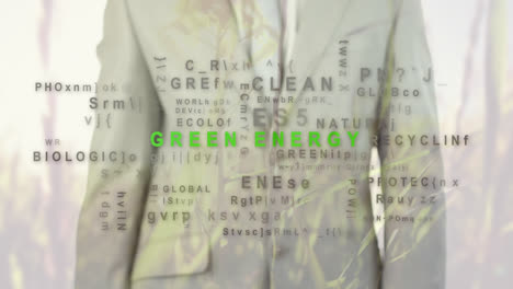Animation-Von-Wörtern-Wie-„Grüne-Energie“-über-Einem-Geschäftsmann
