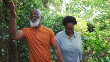 Afroamerikanisches-Seniorenpaar-Hält-Lächelnd-Die-Hände-Beim-Gemeinsamen-Spaziergang-Im-Garten
