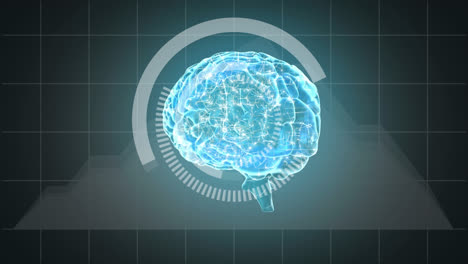3D-illustration-of-human-brain