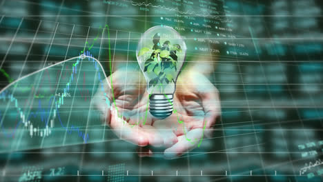 Animation-of-hands-holding-light-bulb-with-tree-growing-inside-it-and-with-a-stock-exchange-graph-