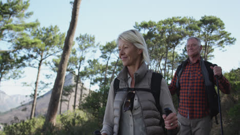 Active-senior-couple-walking-on-mountains