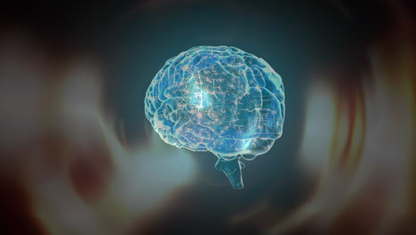 Digitaler-Verbund-Des-Menschlichen-Gehirns