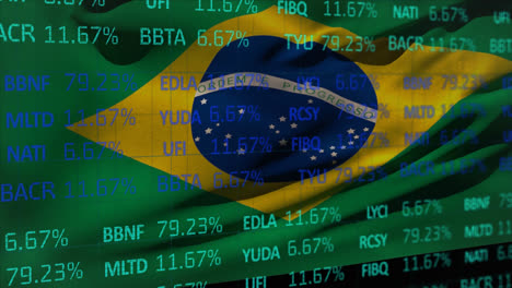 Börsendatenverarbeitung-Gegen-Brasilianische-Nationalflagge