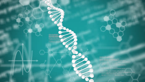 Animation-of-dna-strand,-medical-data-processing-and-chemical-formulae-on-green-background