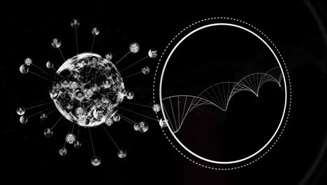 Digital-animation-of-globe-of-network-of-connections-and-dna-structure-spinning-on-black-background