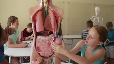 Gruppe-Von-Kindern-Berühren-Menschliche-Anatomiemodell