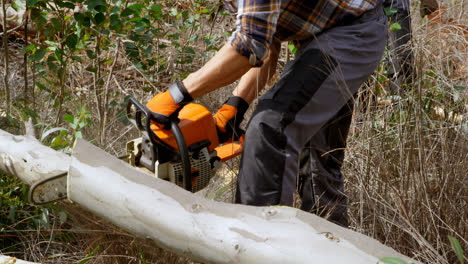 Lumberjack-with-chainsaw-cutting-tree-trunk-4k